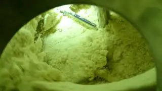 Реактор для сушки порошков Conny-50