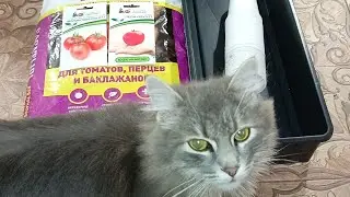 🍅Томаты от Партнёра🍅 в грунт Ламаторф 🍅 
