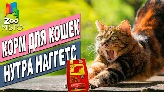 Корм для кошек Нутра Наггетс Хэабол | Обзор корма для котов | Nutra Nuggets Hairball review