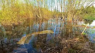 ВЕСЕННЯЯ РЫБАЛКА НА ПРОДОЛЬНИКИ \ МЕНЯЕМ НАЖИВКУ \ ЛОВИМ ЖИВЦА \ 24.05.23