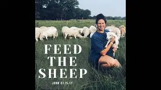 Ep. 1 - Luke Jones - President of AAWSBA (American Australian White Sheep Breeders Association)