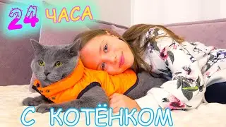 24 часа ЧЕЛЛЕНДЖ Ухаживаю за КОТЁНКОМ Мой ДЕНЬ с питомцем My little Nastya