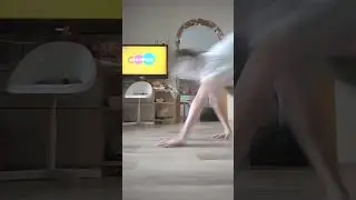 🐾Мяуляндия🐾