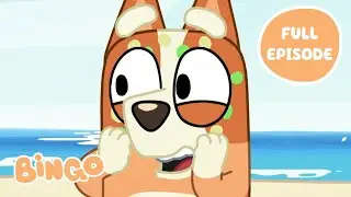 Bingo at the Beach! 🏝️🧡 | The Beach - Bluey Full Episode | Bingo - Official Channel