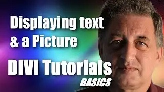 #37 DIVI Theme Tutorial for Beginners - Displaying text and a picture using the DIVI Theme
