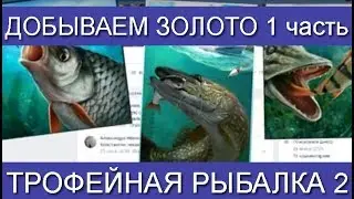 Трофейная рыбалка 2, Добываем золото, 1 часть. Фарм голды