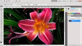 Photoshop, View Settings, Actual Pixels, Fit on Screen, Print Size, Zoom In, Zoom Out, Select Area