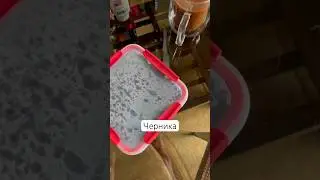 #черника