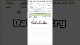 Data Entry Form using shortcut l Amazing tips in excel 