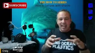 The SCUBA How-To Series - How to behave with sharks