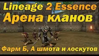 Арена кланов в Lineage 2 Essence (Lineage II Aden) описание и гайд инст зоны арена кланов в л2  руоф