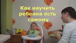 Как научить ребенка есть самому