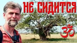 Индийские края. Не сидится на месте.