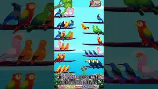 brids sort color puzzle challenge level 101