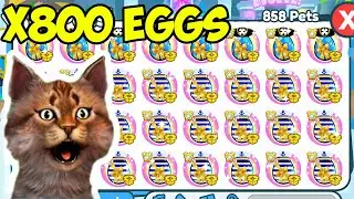 I Opened 800 HUGE SAILOR EGGS in Roblox Pet Simulator X