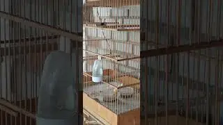 VID 20240724 140600
