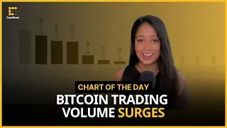 Bitcoin Trading Volume Jumped to $2.8T in January to August Period | Chart of the Day