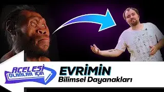 Neden Evrimin Yaşandığını Düşünüyoruz ki?