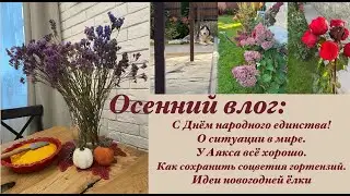 Осенний сад, декор🍂🍁🪵Наш Аякс/Идея новогодней ёлки/Соцветия гортензий для декора/Ситуация в мире🤔