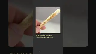 «От локтя, маленькими ударами»: имам из Казани рассказал, как правильно наказывать жену