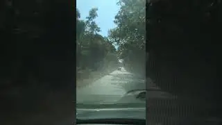 Forest ride