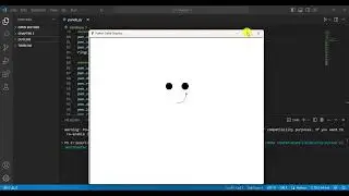 Panda Graphics using Python Turtle Graphics || VS Code || 