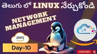 Day-10 [TELUGU] Network Management in Amazon Linux 2