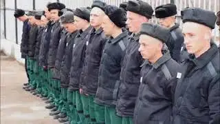ПЕТУХИ НА ЗОНЕ  КАК НЕ СТАТЬ ПЕТУХОМ  ЖИЗНЬ В ТЮРЬМЕ