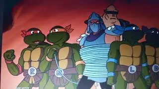 The Turtles Tell Bebop And Rocksteady They Can Live Their Life