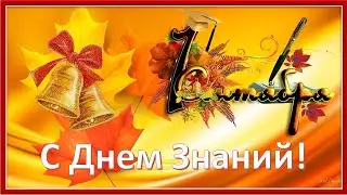 С Днем Знаний! С началом учебного года! С 1 сентября!