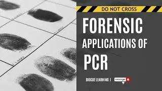Forensic Applications of PCR