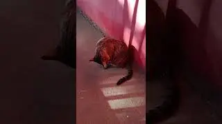 VID 20230602 145509