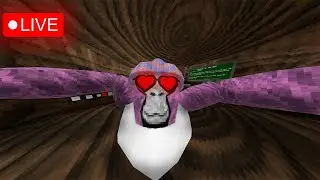 Gorilla Tag Playing Minigames With Viewers | Code On Screen