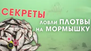 СЕКРЕТЫ ловли плотвы зимой на мормышку со льда
