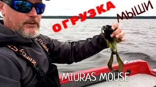 Miuras Mouse, как огрузить 