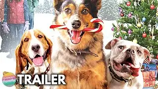 PUPS ALONE (2021) Trailer 🐾 | Hilarious Dog Family Holiday Movie