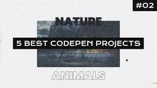 5 Best Codepen projects #02 | HTML, CSS & JAVASCRIPT