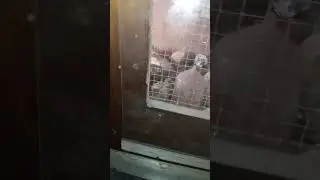 нет электричества