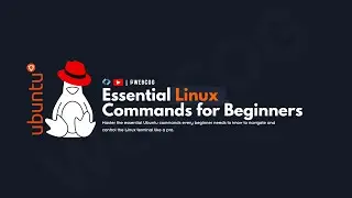 Essential Linux Commands for Beginners | Master the Linux Terminal