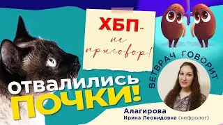 Отвалились почки