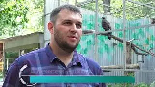 (22.08.2024) У мартышки Гарика в зооцентре «Питон» появилась подруга
