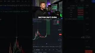 More Money POURING Into The Crypto Space! 