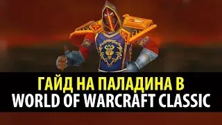 Привкус Ваниллы 🍦 Классовый Гайд на Паладина в WoW Classic