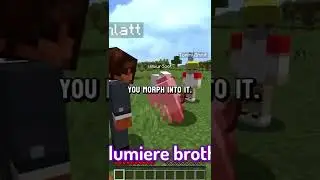 Minecraft's Morph Mod