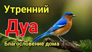 утренний дуа. дуа каждое утро