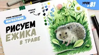 Как нарисовать ежика в траве? / Видео-урок по рисованию маркерами для новичков #81