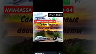 AVIAKASSA +7 995 313-83-04