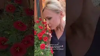Доброе утро🕊️ Открытка для вдохновения 🌸 UKRAINE 🇺🇦 KIEV, September 10, 2024, THURSDAY
