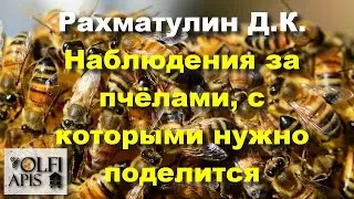 #Рахматулин