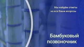 Бамбуковый позвоночник